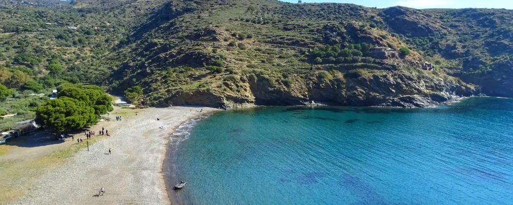 cala jóncols